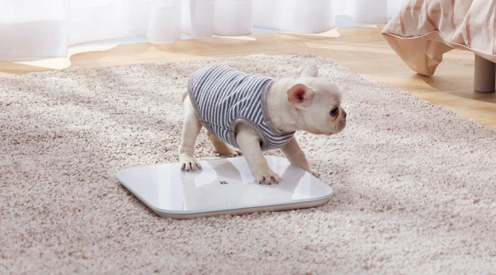 Mi Smart Scale 2 - Image 3