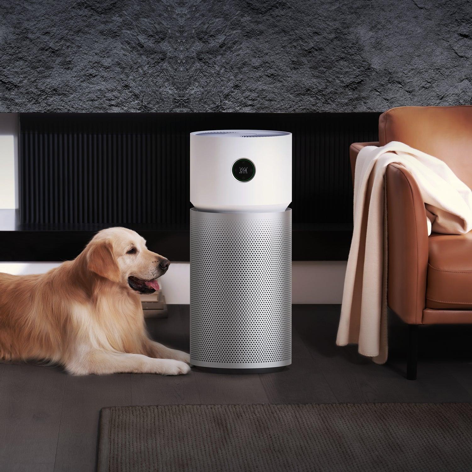 Xiaomi Smart Air Purifier Elite EU+ Filter Kit Black Bundle - Image 5