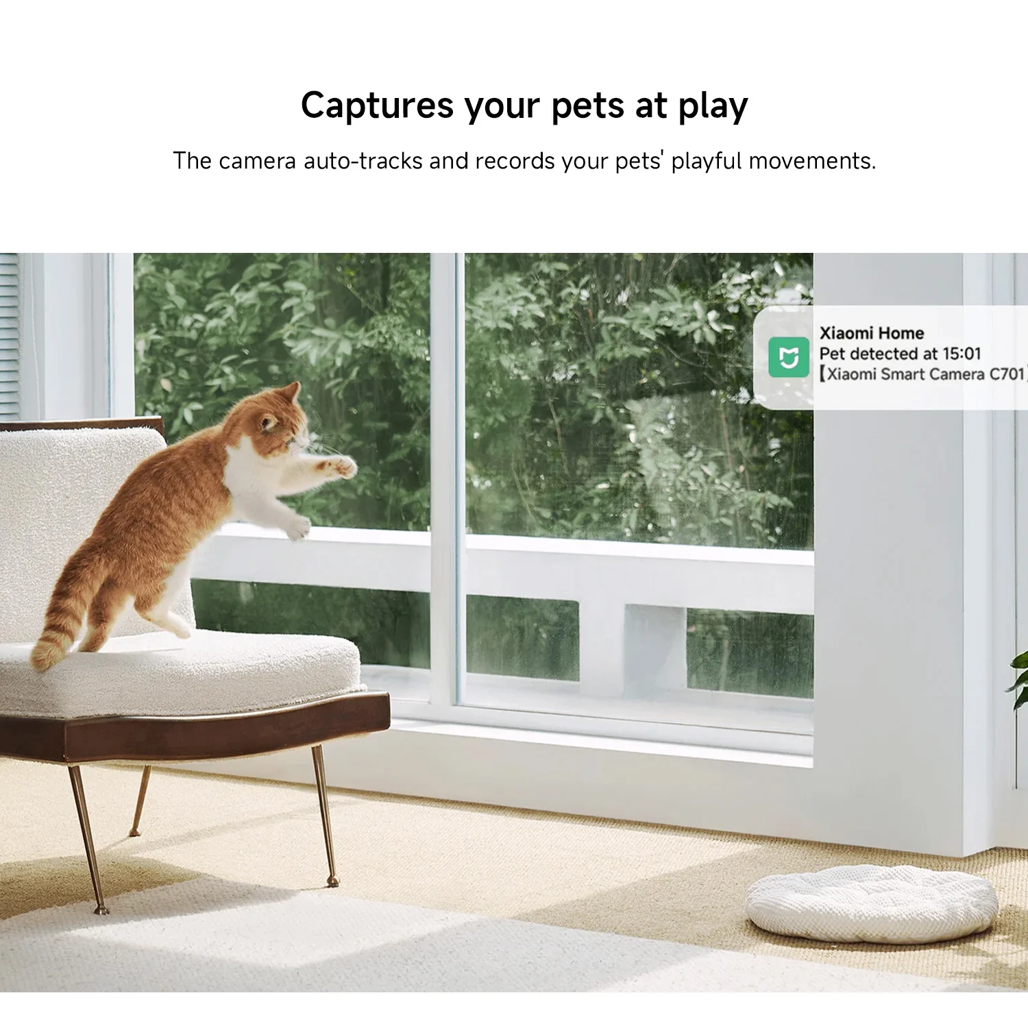 Xiaomi Smart Camera C701 EU - Image 4