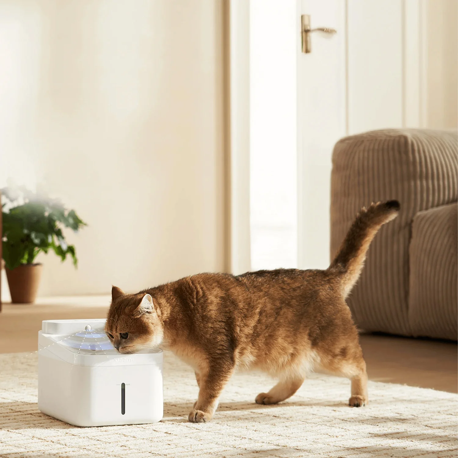 Xiaomi Smart Pet Fountain 2 EU - Image 2